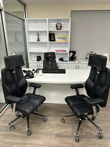 Ergonomiczny fotel Croco Rex