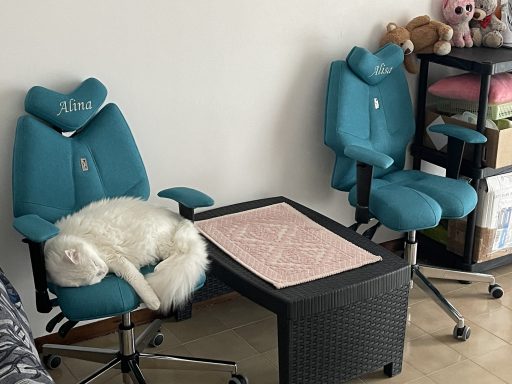 Ergonomiczny fotel Kulik System Fly