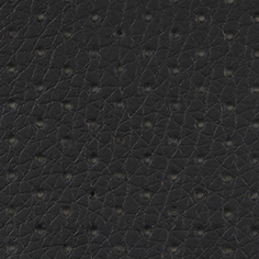 Black 0401