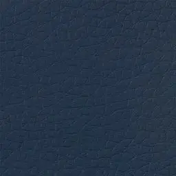 Blue 0213